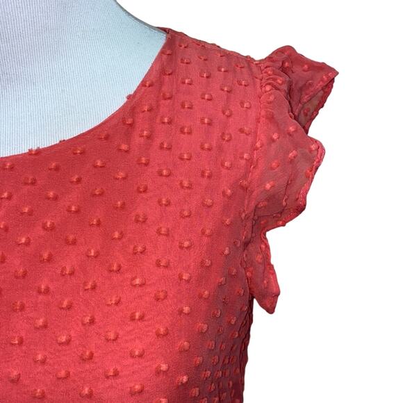 STS Sail to Sable Pink Coral Silk Ruffle Sleeve Swiss Dot Dress Size 2 - Picture 4 of 10